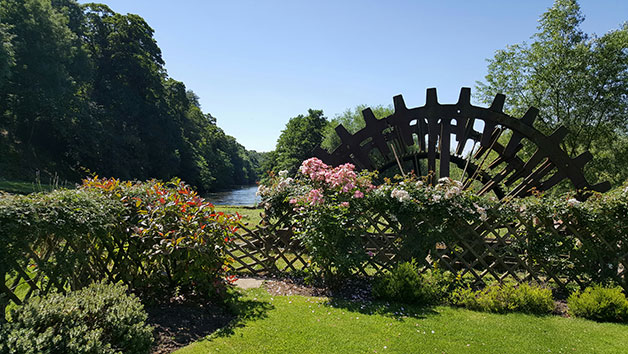 Afternoon Tea at The Priest House by the River for Two Image 3