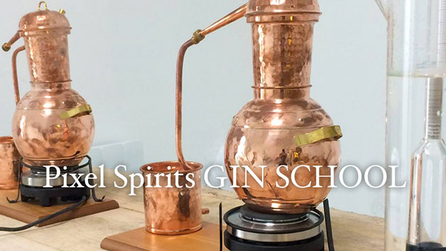 Gin School with Tasting for Two at Pixel Spirits Distillery, Scotland Image 3