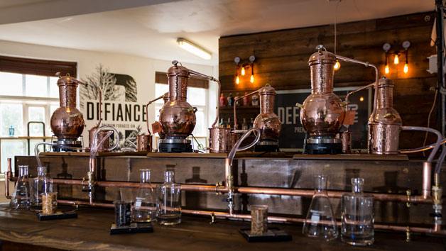 Buy Defiance Gin Academy Gin Making Experience with Drinks and a Snack Platter for One Person