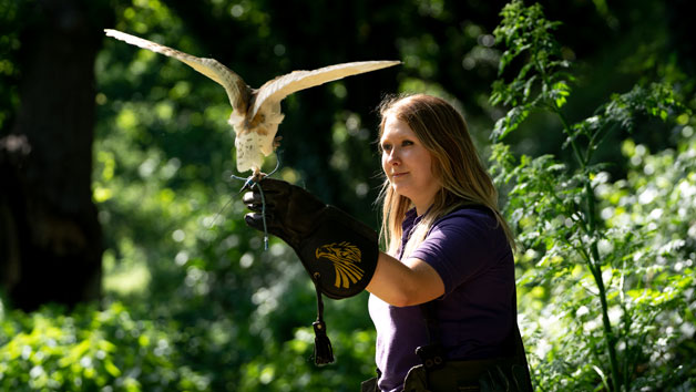 One-Hour Birds of Prey Flying Display at Hobbledown Heath Hounslow for Two Image 5