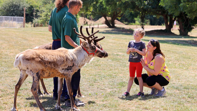 Feed the Reindeer at Hobbledown Heath Hounslow for Two Image 2