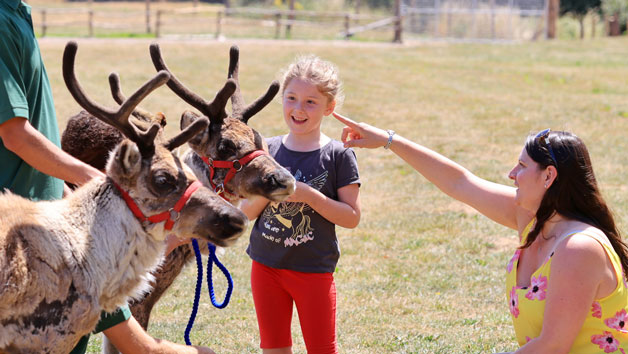 Feed the Reindeer at Hobbledown Heath Hounslow for Two Image 4