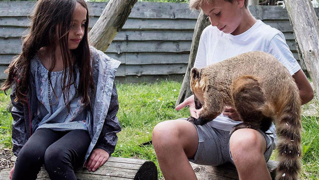 The Zookeeper Experience for Two at Hobbledown Epsom Image 2