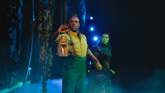 Wicked Theatre Tickets with Overnight Weekend Stay at Hilton London Victoria for Two Image 4