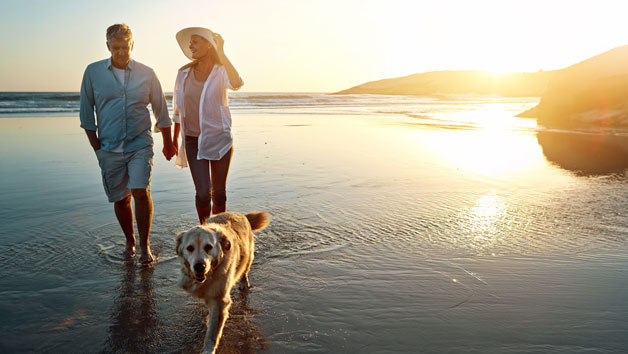 Two Night Dog Friendly Break for Two picture