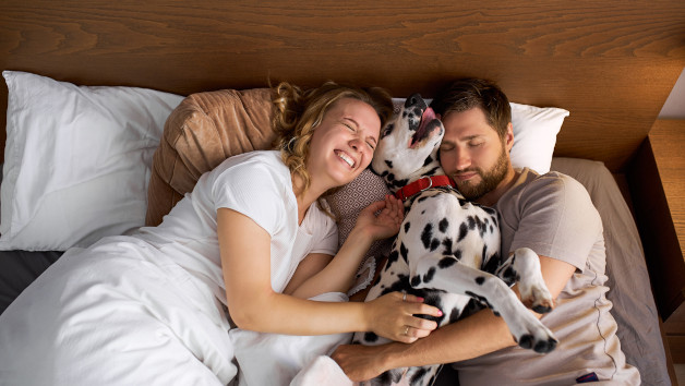 Two Night Dog Friendly Break for Two picture