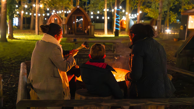 Overnight Stay at Port Lympne for up to Four with Festive Magical Light Trail picture