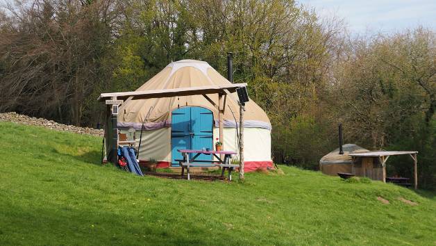 Two Night Cosy Yurt Stay at an Eco Retreat with Forest Bathing for Two picture