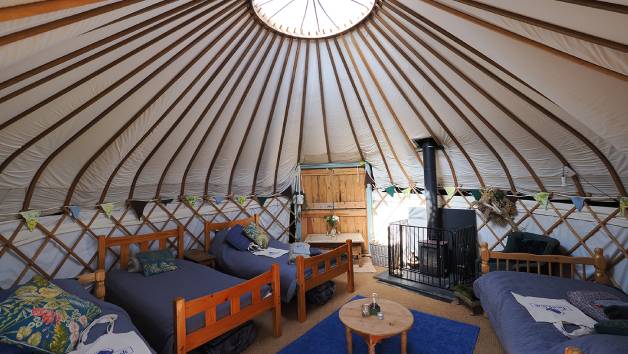 Two Night Cosy Yurt Stay at an Eco Retreat with Forest Bathing and Sauna for Two picture