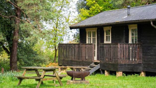 Peak Two Night Forest Lodge Stay at Avon Tyrrell for Up to Six picture