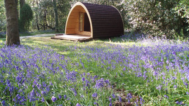 Overnight Glamping Escape for Two Image 4