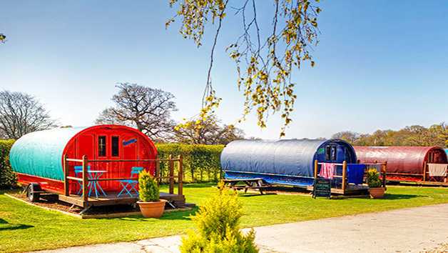 Overnight Stay in a Romany Caravan at South Lytchett Manor Glamping Park Image 1