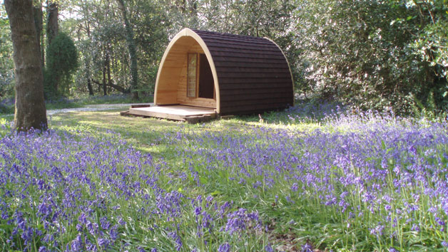 Wine Flight at Camel Valley Vineyard for Two Red Letter Days