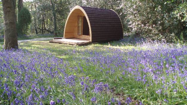 One Night Stay for Two in a Camping Hut at Ruthern Valley picture