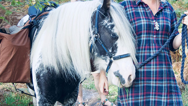 Overnight Arabian Wild Camp Break and Pony Walk with The Ancient Trails Company for Two Image 3