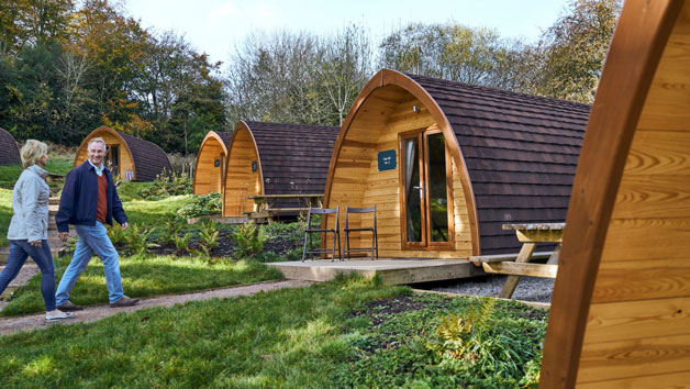 One Night Mega Pod Glamping Break at Whitemead Forest Park for Four picture
