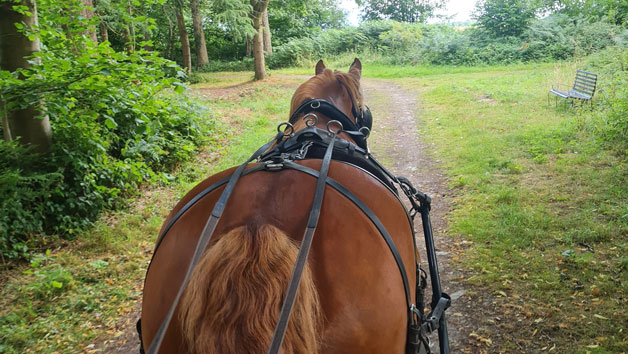 Click to view details and reviews for Horse Drawn Carriage Ride For Two With Cream Tea.