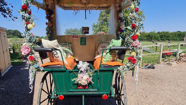 Horse Drawn Carriage Ride for up to Five People Image 3