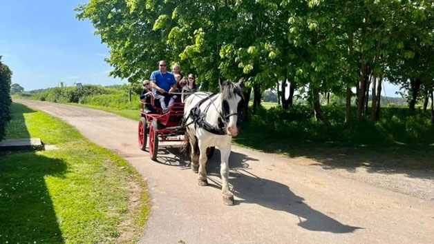 Click to view details and reviews for Horse Drawn Carriage Ride For Up To Five People.