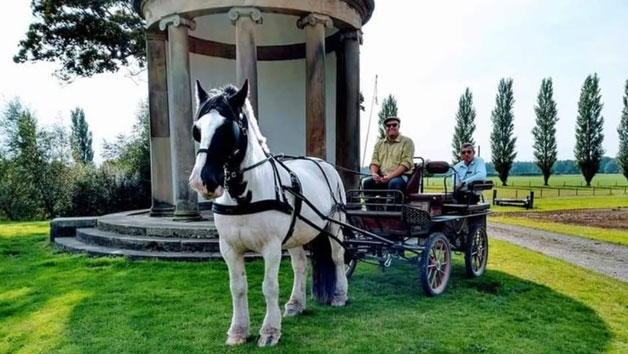 Horse Drawn Carriage Ride for up to Five People Image 4