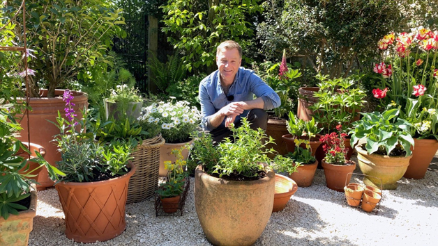 Online Container Gardening Course Taught by Chris Beardshaw
 Image 2