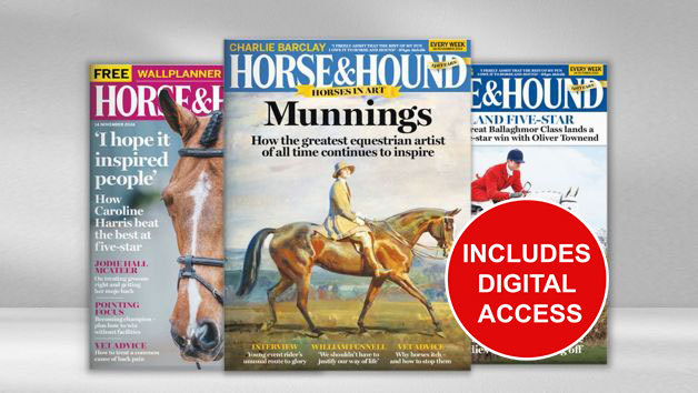 Six Months of Horse and Hound Magazine picture