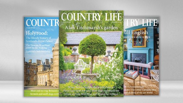 Six Months of Country Life Magazine picture