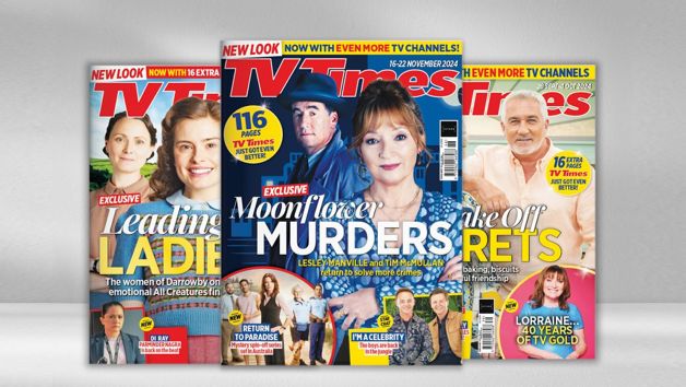 Six Months of TV Times Magazine picture