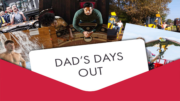 Dad's Days Out picture