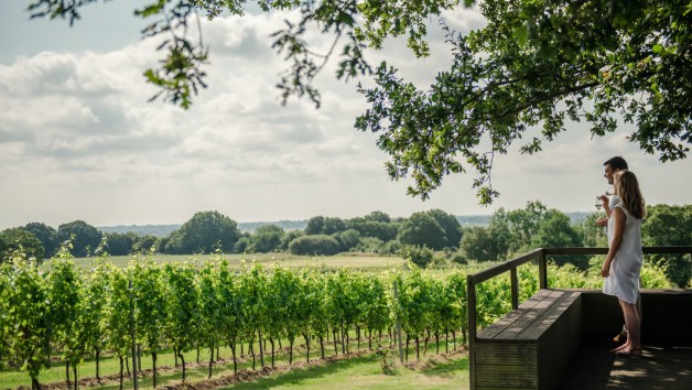 Gusbourne Estate Tour for Two with a Three Course Lunch and Sparkling Wine picture