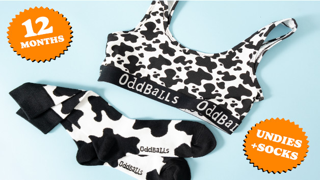 12 Month Women's Bralettes Subscription with OddBalls Apparel picture