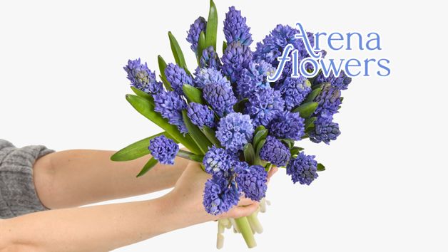 Three-Month Arena Flowers Luxury Flower Subscription picture