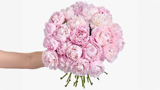 Three-Month Arena Flowers Luxury Flower Subscription Image 3