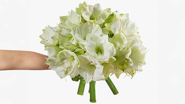 Six-Month Arena Flowers Luxury Flower Subscription Image 4