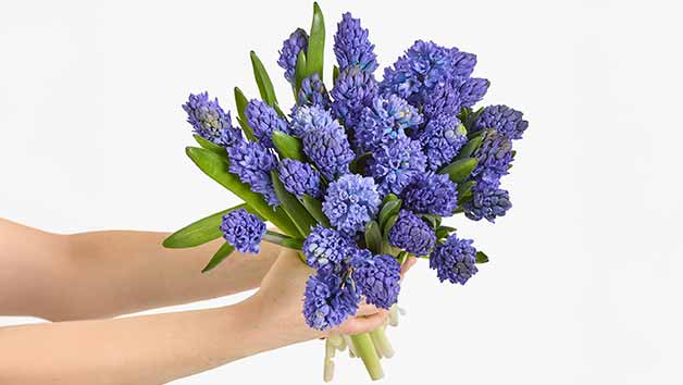 Three-Month Arena Flowers Luxury Flower Subscription Image 5