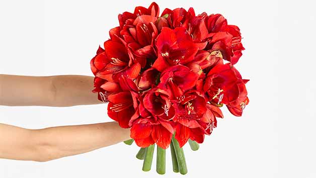Six-Month Arena Flowers Luxury Flower Subscription Image 3