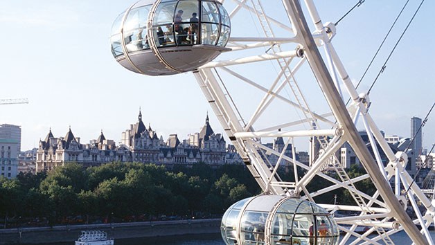 Thames Lunch Cruise with London Eye Tickets for Two Image 5