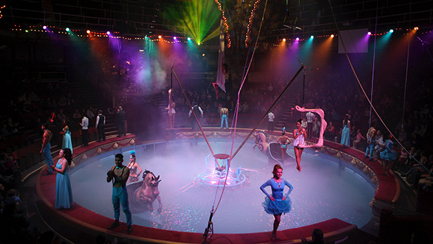 Click to view details and reviews for Entry Tickets To The Blackpool Tower Circus For Two.