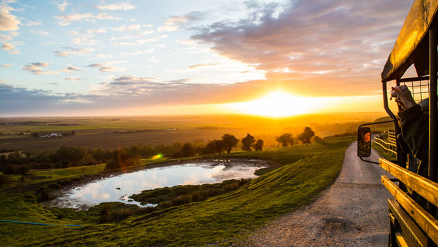 Click to view details and reviews for Digital Animal Adoption With Entry To Port Lympne Reserve And Truck Safari For A Family Of Four.