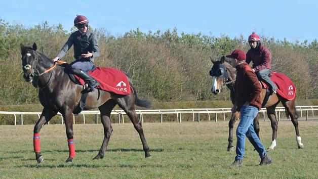 Behind the Scenes Tour of Top-Class Horse Racing Yard for Two with Darryll Holland Image 2