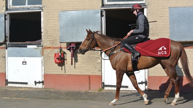 Behind the Scenes Tour of Top-Class Horse Racing Yard for Two with Darryll Holland Image 3