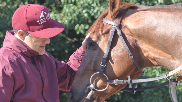 Behind the Scenes Tour of Top-Class Horse Racing Yard for Two with Darryll Holland Image 4