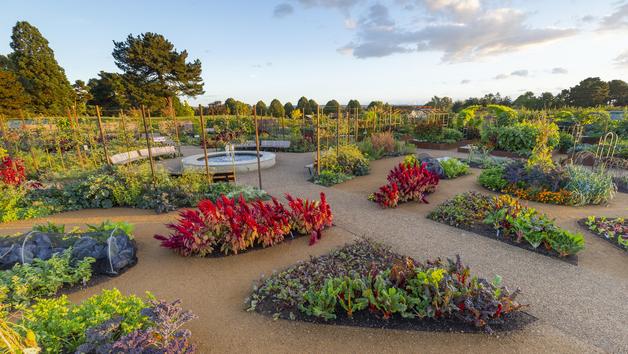 Visit to RHS Garden Wisley for Two and Afternoon Tea at Brooklands Hotel Image 2