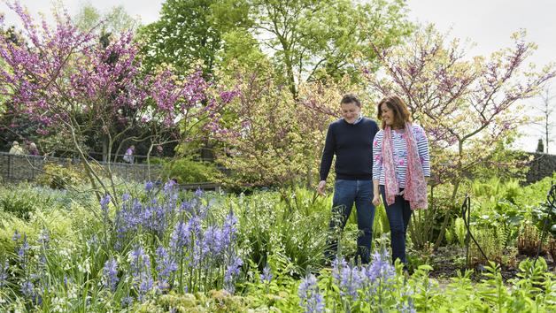 Visit to RHS Garden Hyde Hall for Two Image 5