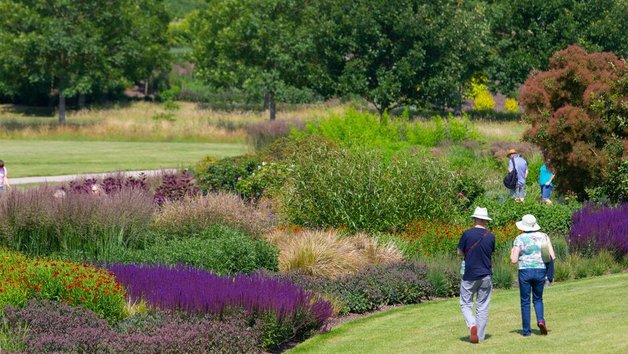 Visit to RHS Garden Hyde Hall for Two Image 3