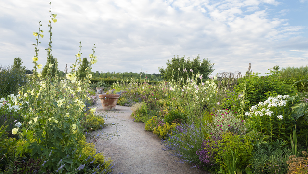 Visit to RHS Garden Hyde Hall for Two Image 4