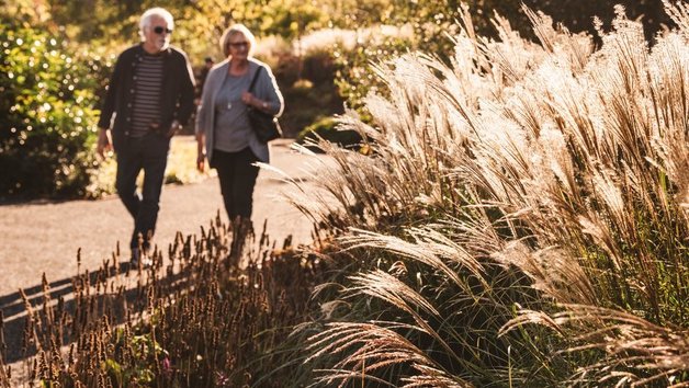 Visit to RHS Garden Hyde Hall for Two Image 1