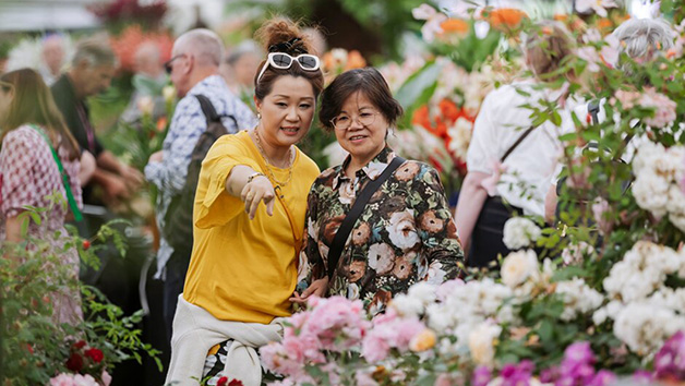 Unlimited Access to Five Gardens with RHS Individual Membership Image 1