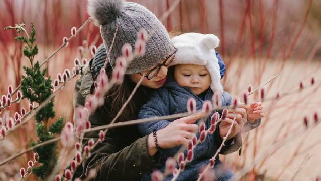 Unlimited Access to Five RHS Gardens with RHS Joint Membership picture