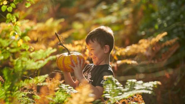 RHS Individual Membership (plus 1 guest or 2 children) picture